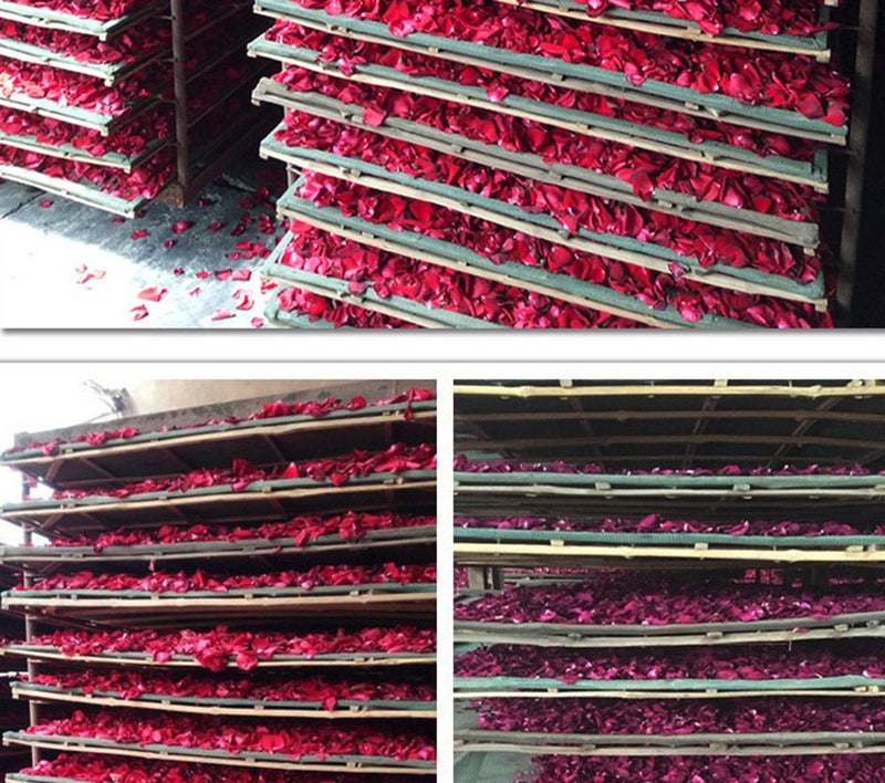 TooGet Natural Dried Rose Petals | Herbal Tea & Baking Ingredients | Wedding & Party Decor | Bath, Body & Foot Wash | Crafting & Potpourri - 2OZ - Image 5